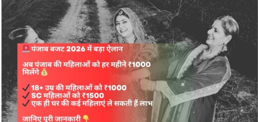 Punjab Budget 2026